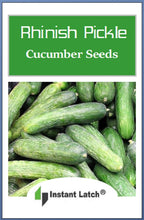 Load image into Gallery viewer, Rhinish Pickle Cucumber Seeds | NON-GMO | Heirloom | Fresh Garden Seeds
